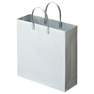 (まとめ) TANOSEE ラミネートバッグ 中 ヨコ320×タテ320×マチ幅110mm シルバー 1パック（10枚）  【×5セット】