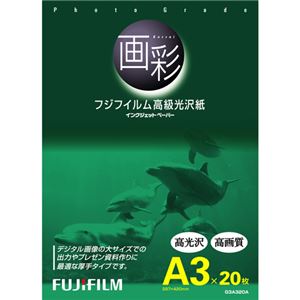 (まとめ) 富士フィルム FUJI 画彩 高級光沢紙 A3 G3A320A 1冊(20枚)  【×10セット】