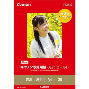 (まとめ) キヤノン Canon 写真用紙・光沢 ゴールド 印画紙タイプ GL-101A420 A4 2310B006 1冊（20枚）  【×10セット】