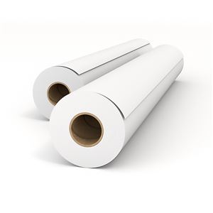 オセ エコノミー普通紙 A2ロール 420mm×50m IPS450B 1箱(2本) 【×10セット】