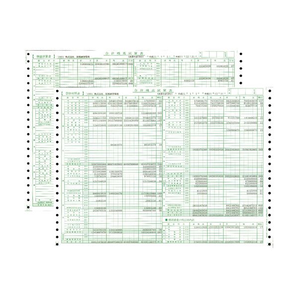 東京ビジネス 合計残高試算表 (一般・科目印刷) CG100600 1冊(50セット) 【×10セット】