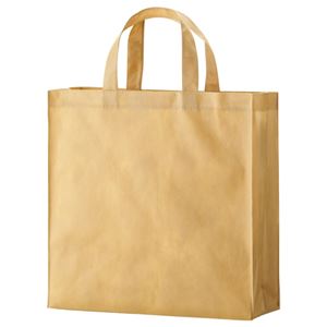 (まとめ) TANOSEE 不織布バッグ 小 ヨコ320×タテ330×マチ幅110mm ベージュ 1パック（10枚）  【×10セット】