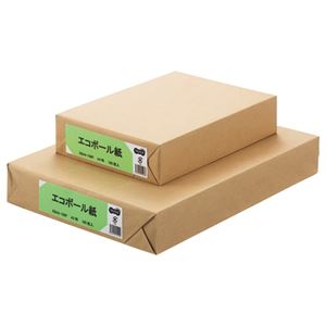 (まとめ) TANOSEE エコボール紙 A4 450g／m2 1パック（100枚）  【×10セット】