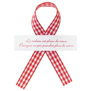 (まとめ) ヘッズ チェックシール シール白×チェックリボン タテ15×ヨコ60mm CHE-1S 1パック(30枚)  【×10セット】