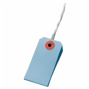 (まとめ) TANOSEE カラー荷札 6号 30×60mm ブルー 1パック（200枚）  【×10セット】