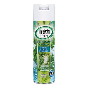 (まとめ) エステー トイレの消臭力スプレー アップルミント 330ml 1セット(3本)  【×10セット】