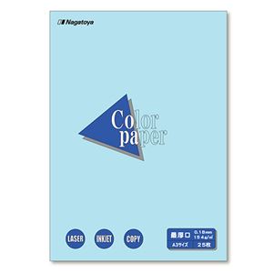 Color Paper A3 最厚口 空 25枚 【×10セット】