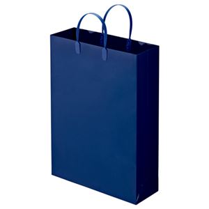 (まとめ) TANOSEE ラミネートバッグ 大 ヨコ320×タテ440×マチ幅110mm 紺 1パック（10枚）  【×10セット】