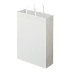 (まとめ) TANOSEE ラミネートバッグ 大 ヨコ320×タテ440×マチ幅110mm 白 1パック（10枚）  【×10セット】