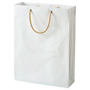 (まとめ) TANOSEE ビニールカバー付手提げ袋 M ヨコ330×タテ440×マチ幅110mm 白無地 1パック（10枚）  【×10セット】