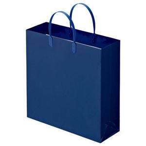 (まとめ) TANOSEE ラミネートバッグ 中 ヨコ320×タテ320×マチ幅110mm 紺 1パック（10枚）  【×10セット】