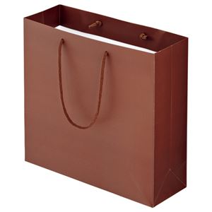 (まとめ) TANOSEE マットコート手提げ袋 M ヨコ320×タテ300×マチ幅110mm ブラウン 1パック（10枚）  【×10セット】
