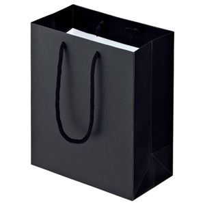 (まとめ) TANOSEE マットコート手提げ袋 S ヨコ220×タテ260×マチ幅120mm ブラック 1パック（10枚）  【×10セット】