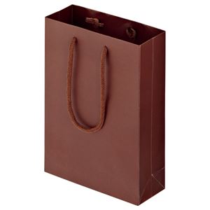 (まとめ) TANOSEE マットコート手提げ袋 SS ヨコ180×タテ250×マチ幅70mm ブラウン 1パック（10枚）  【×10セット】