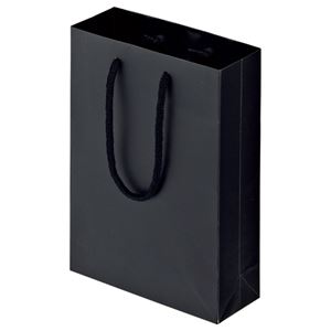 (まとめ) TANOSEE マットコート手提げ袋 SS ヨコ180×タテ250×マチ幅70mm ブラック 1パック（10枚）  【×10セット】