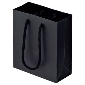 (まとめ) TANOSEE マットコート手提げ袋 ミニ ヨコ150×タテ170×マチ幅70mm ブラック 1パック（10枚）  【×10セット】