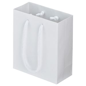 (まとめ) TANOSEE マットコート手提げ袋 ミニ ヨコ150×タテ170×マチ幅70mm ホワイト 1パック（10枚）  【×10セット】