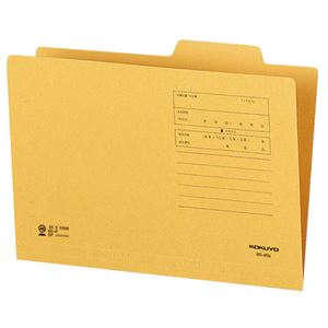 (まとめ) コクヨ 個別フォルダー B5 KNB5-IFNX10 1パック（10冊）  【×30セット】