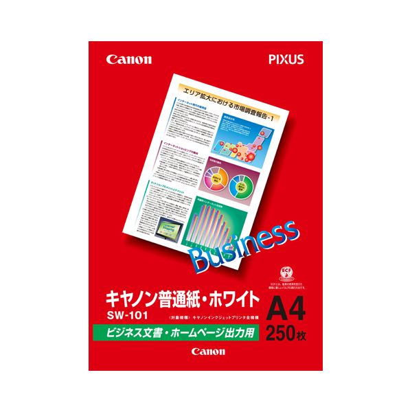 (まとめ) キヤノン 普通紙・ホワイトSW-101A4 A4 6614A001 1冊(250枚)  【×30セット】