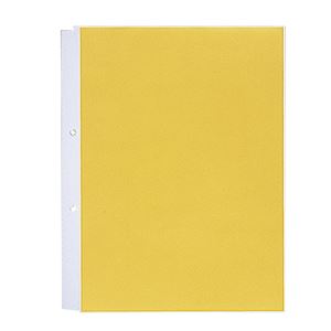 (まとめ) リヒトラブ ルポ・リーンフォース・クリヤーポケット（クリアポケット）（超厚口） A4タテ 2穴 N-2101 1パック（10枚）  【×30セット】