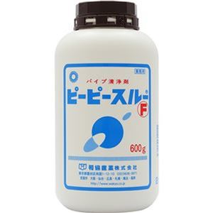 （まとめ）和協産業 業務用パイプ洗浄剤ピーピースルーF 600g 1個【×10セット】
