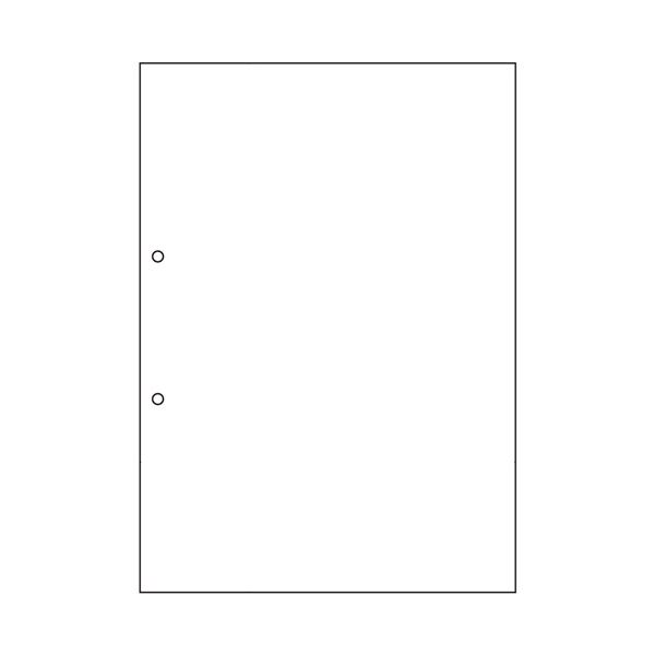 （まとめ）ヒサゴ マルチプリンタ帳票 撥水紙 A4 白紙 2穴 BPW2001 1冊（50枚） 【×5セット】