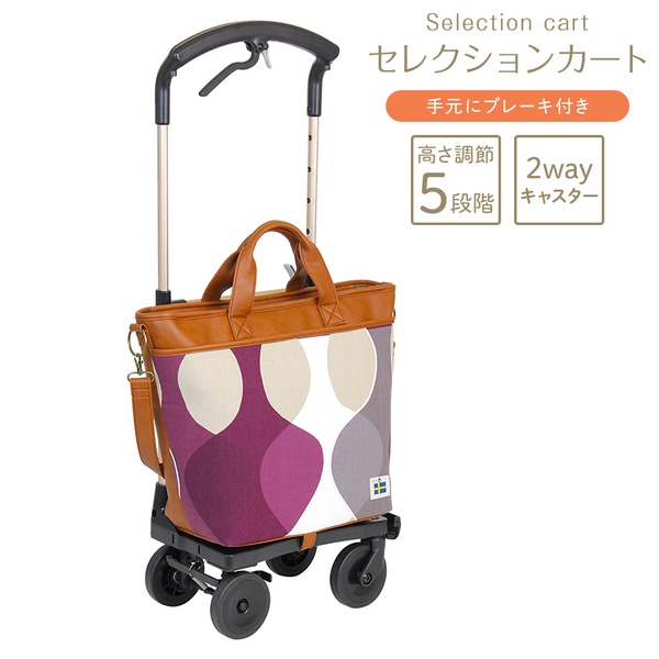 セレクションカート マラガ