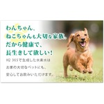 ポータブル高濃度水素水生成器H2 365 シルバー border=