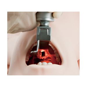 サカモト気道管理トレーナー(看護実習モデル人形) 交換用前歯/収納ケース付き M-167-0 商品写真3