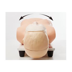 サカモト経管栄養トレーナーII(看護実習モデル人形) 頭部可動 M-190-0 商品写真3
