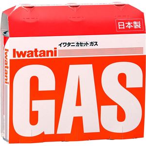 （まとめ）岩谷 カセットガスボンベ 3本組 （ カセットボンベ ） 【16個セット】