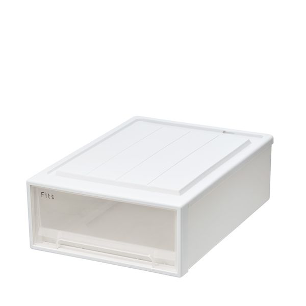 天馬 Fits フィッツケースクローゼット 幅39×奥行53×高さ18cm ホワイトクリア 53-39S