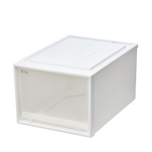 天馬 Fits フィッツケースクローゼット 幅39×奥行53×高さ30cm ホワイトクリア 53-39L