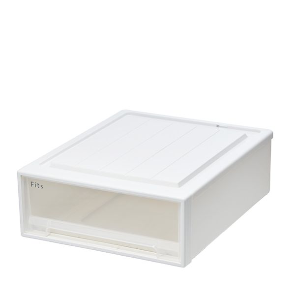 天馬 Fits フィッツケースクローゼット 幅44×奥行53×高さ18cm ホワイトクリア 53-44S