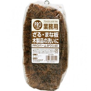【10個セット】 業務用PRO パームタワシ40 KG-006