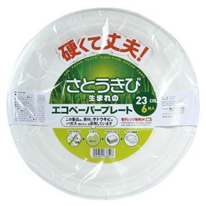 【10個セット】 さとうきび生まれのエコペーパープレート 23cm 6枚入