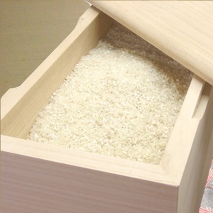 桐の米びつ/ライスストッカー 【5kg用/無地】 泉州留河 日本製 商品写真3