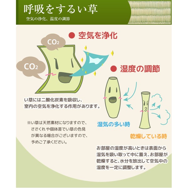 い草ラグ 286×286 本間 4.5畳 グリーン ラグマット 清水