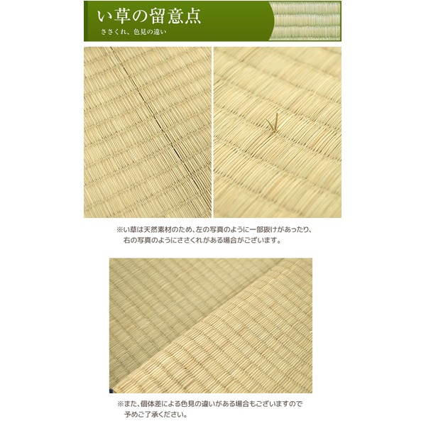 い草ラグ 286×286 本間 4.5畳 グリーン ラグマット 清水