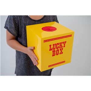 【パーティーグッズ】 抽選ボックス(大)