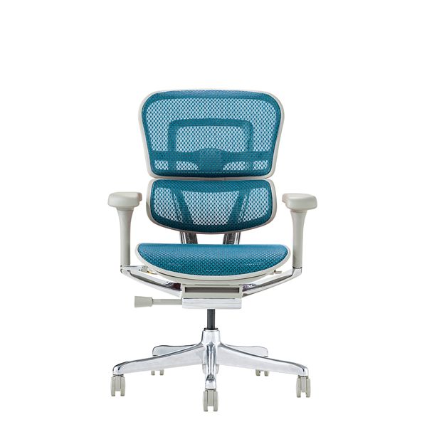 エルゴヒューマン プロ2 ロータイプ（グレーフレーム×ブルー）EHP2-LAM-DR-GF-BL【PU】新基盤 組立品【代引不可】