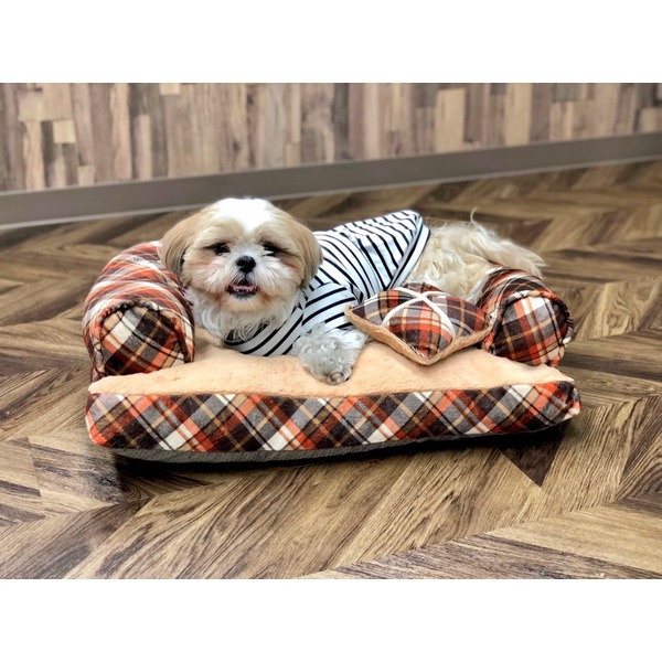 Pet Bed（ペットベッド）あご置きクッション付き オレンジ×キャメル