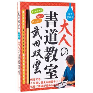 (業務用2セット) 幻冬舎 武田双雲 大人の書道教室 商品写真