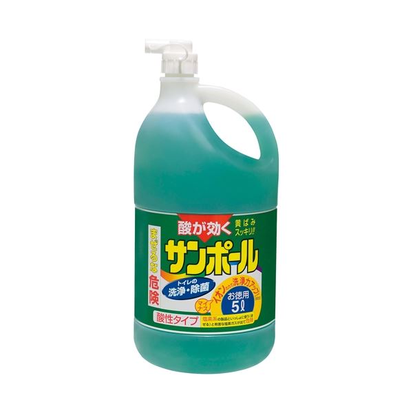 （まとめ） 大日本除蟲菊 サンポール 3L【×10セット】