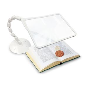 せぼね君ルーぺ読書用 アイボリー