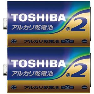 東芝アルカリ乾電池 単2形 2本×50パック