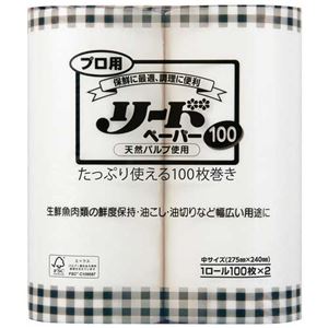 (まとめ) プロ用リードペーパー100枚×2本 中サイズ 【×2セット】
