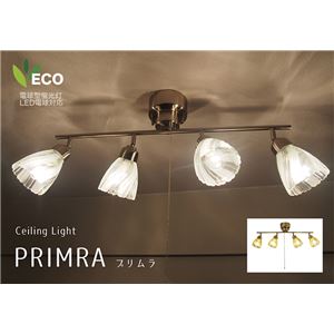PRIMRA(プリムラ) ガラスシェードシーリングライト クリア TP-279-CL 商品写真1