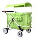 保育園 幼稚園 お散歩用 ベビーカー Familidoo（ファミリードゥー） 軽量・オートブレーキ付き・6人乗りデザインモデル グリーン 緑 - 縮小画像1