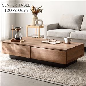 センターテーブル 長方形 約120×60cm シャビーオーク 引き出し 2杯付き ローテーブル リビング ダイニング インテリア家具